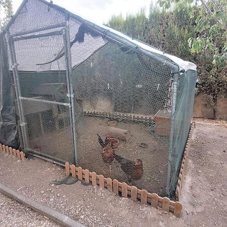 Casita De Invitados En Otura ภายนอก รูปภาพ